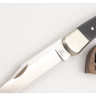 Нож BUCK 0110BKSNS FOLDING HUNTER B0110BKSNS